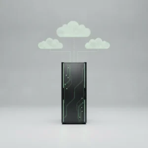 Basic Linux Hosting Plan